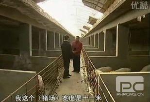 地下养猪视频,科技养殖新趋势